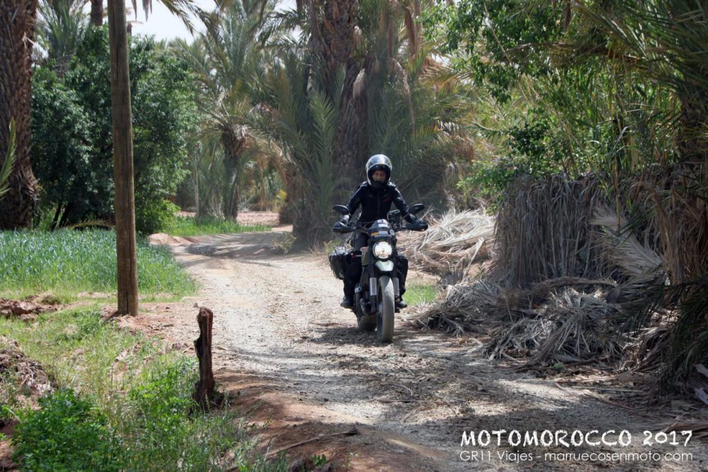 Viaje A Marruecos En Moto 2017 Costa Y Atlas 47